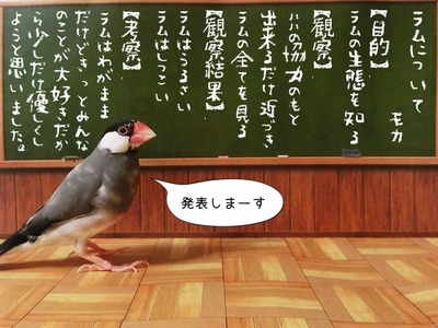 s-CIMG4719