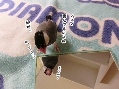 ブンチョ日誌