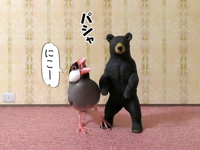 s-IMG_3426