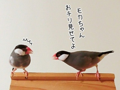 神々しい ブンチョ日誌 Powered By ライブドアブログ