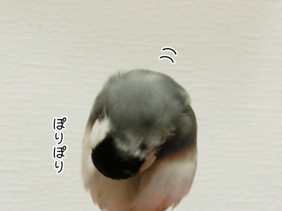 s-CIMG8128