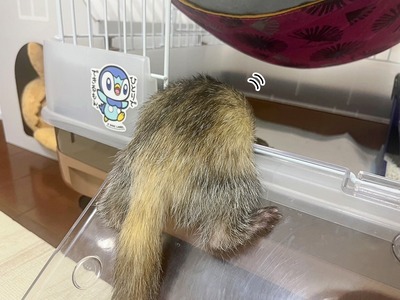 s-IMG_1911