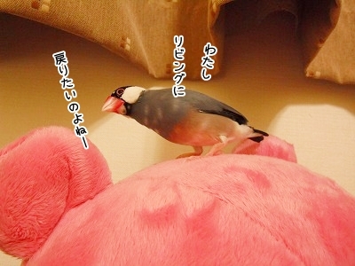 ブンチョ日誌