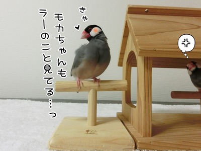 s-CIMG7949