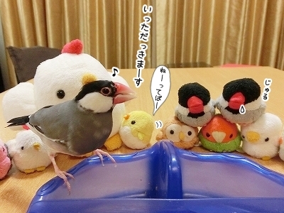 ブンチョ日誌