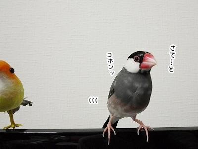 ブンチョ日誌