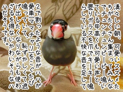 s-CIMG7775