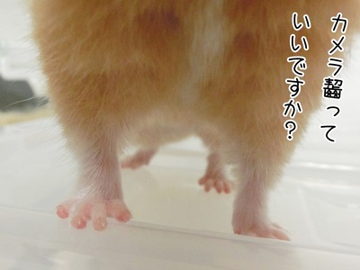 s-CIMG0674