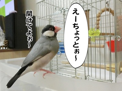 s-CIMG9772