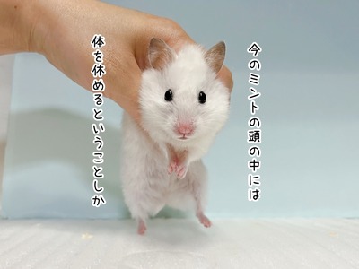 s-IMG_3668