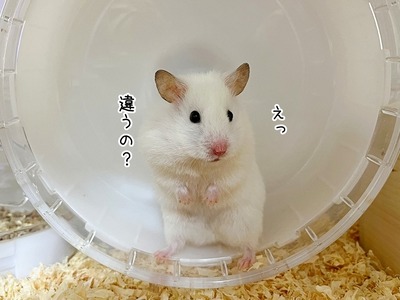 s-IMG_5847