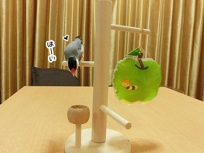 ブンチョ日誌
