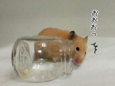 s-CIMG0783