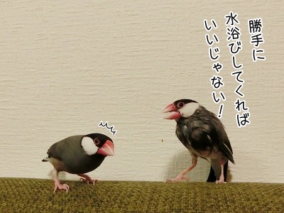 s-CIMG0291