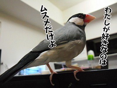 ブンチョ日誌