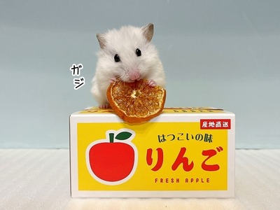 s-IMG_8321