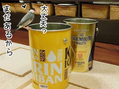 s-CIMG1757