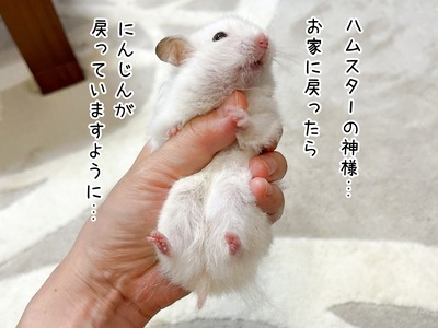 s-IMG_1507