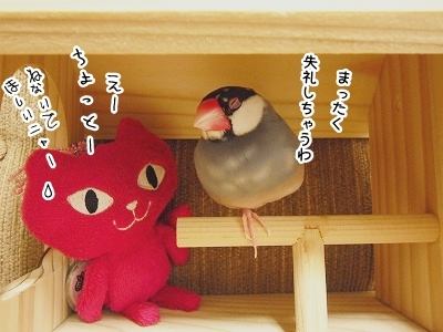 ブンチョ日誌