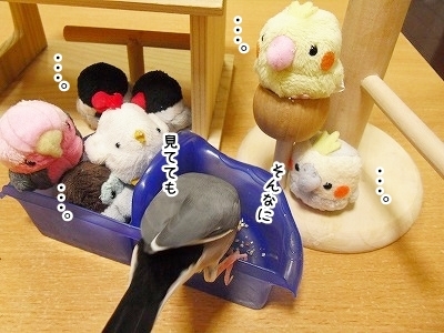 ブンチョ日誌