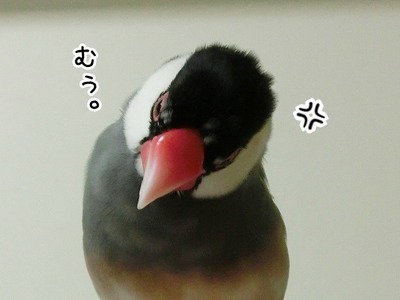 s-CIMG7788