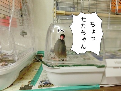 s-CIMG0872