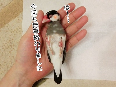 s-CIMG8653