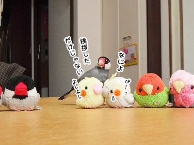 ブンチョ日誌