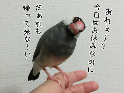 s-CIMG9423