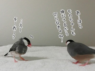 s-CIMG5752