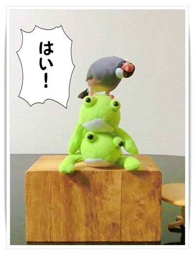 CIMG0430