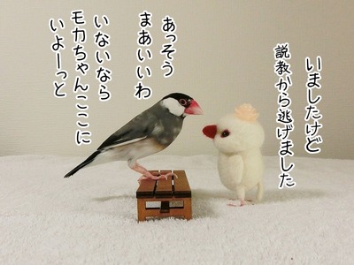 s-CIMG0260
