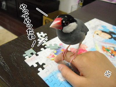 ブンチョ日誌
