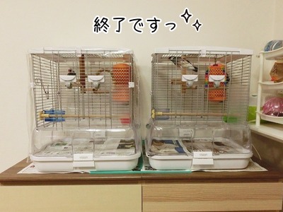 s-CIMG8287