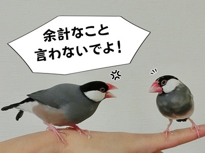 s-CIMG0775