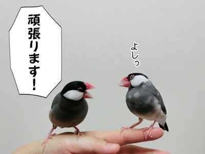 s-CIMG3834