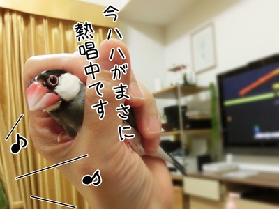 s-CIMG7268