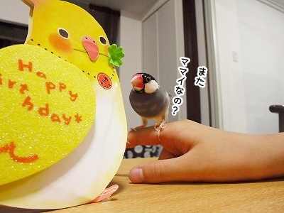 ブンチョ日誌