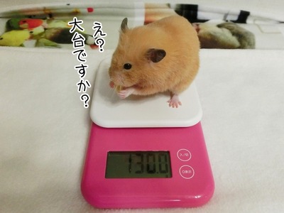 s-CIMG9430