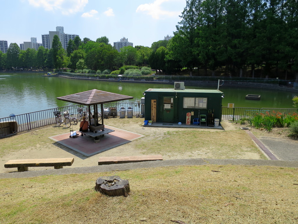 近所の公園めぐり 千里南公園 北摂の混沌