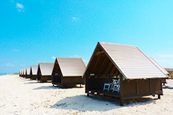 cot02
