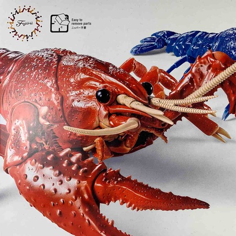 ザリガニ２４様 Amazon | フジミ模型(FUJIMI) 自由研究シリーズ No.24 いきもの編