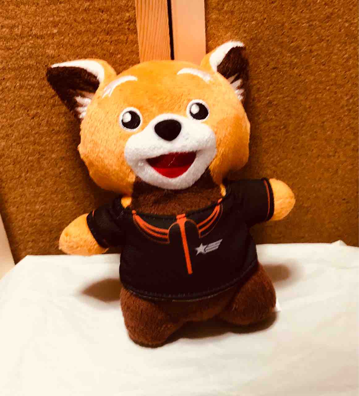 ＼半額SALE／ ジェットスターオリジナルグッズ ぬいぐるみ」レビュー ジェッ太 