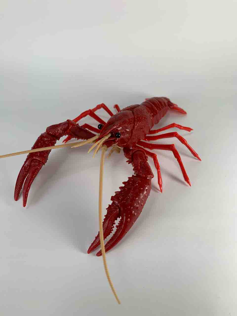 Fujimi「自由研究24 いきもの編 アメリカザリガニ(レッド)」レビュー