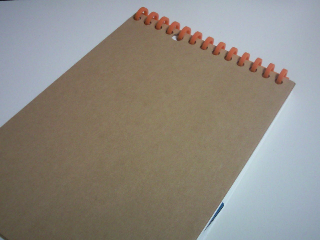 これで理想のノートが作れるッ かもしれない カール事務器 ルーズリング 文房具探求 田舎の片隅で文房具を語る