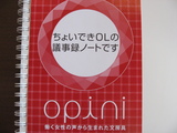 opn_3.JPG