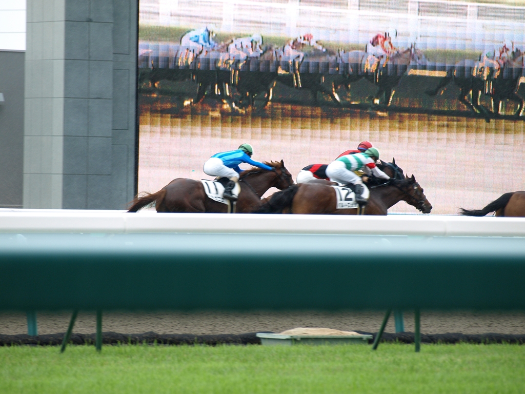 がんばれ大江原騎手 やる大江原を応援しに中京競馬場へ Bunkle Net Blog