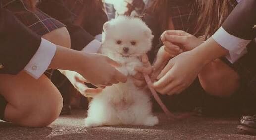 ギガちゃん スズの徒然草 ギガちゃん スズの徒然草