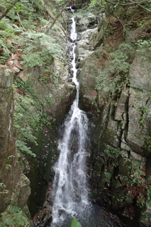 P7021354