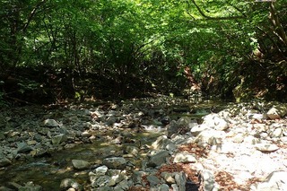 P6251360Ĺ¼êÂô½Ð¹çs